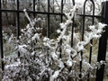 Classic Gardens
