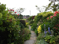 Classic Gardens