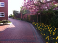 Classic Gardens