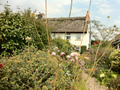 Classic Gardens